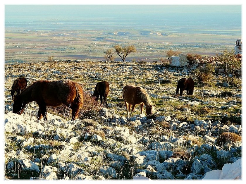 Gargano invernale